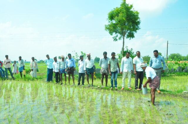 Improved Water Management of Rice Fields in Telangana project is ultimately lowering methane emissions. Learn more about our carbon credit projects.