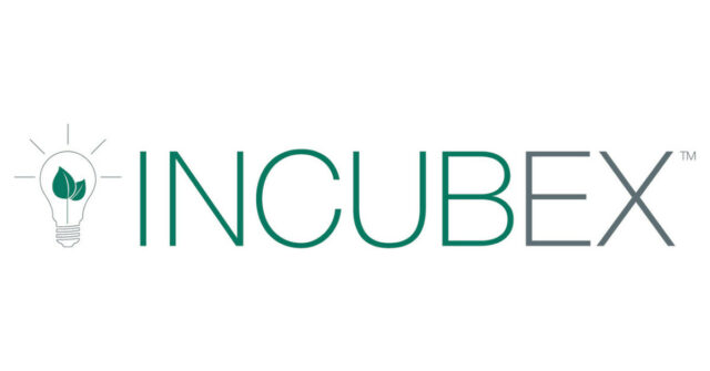 IncubEx logo - Find carbon credit market events such as the Incubex Annual Summer Event and other leading investment conferences.